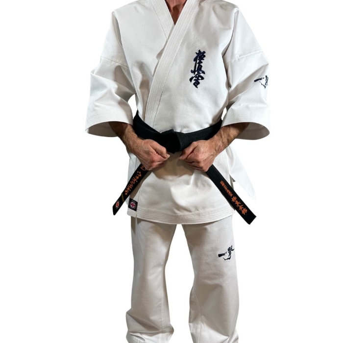 Ichigeki(1100 x 1100 px).jpg