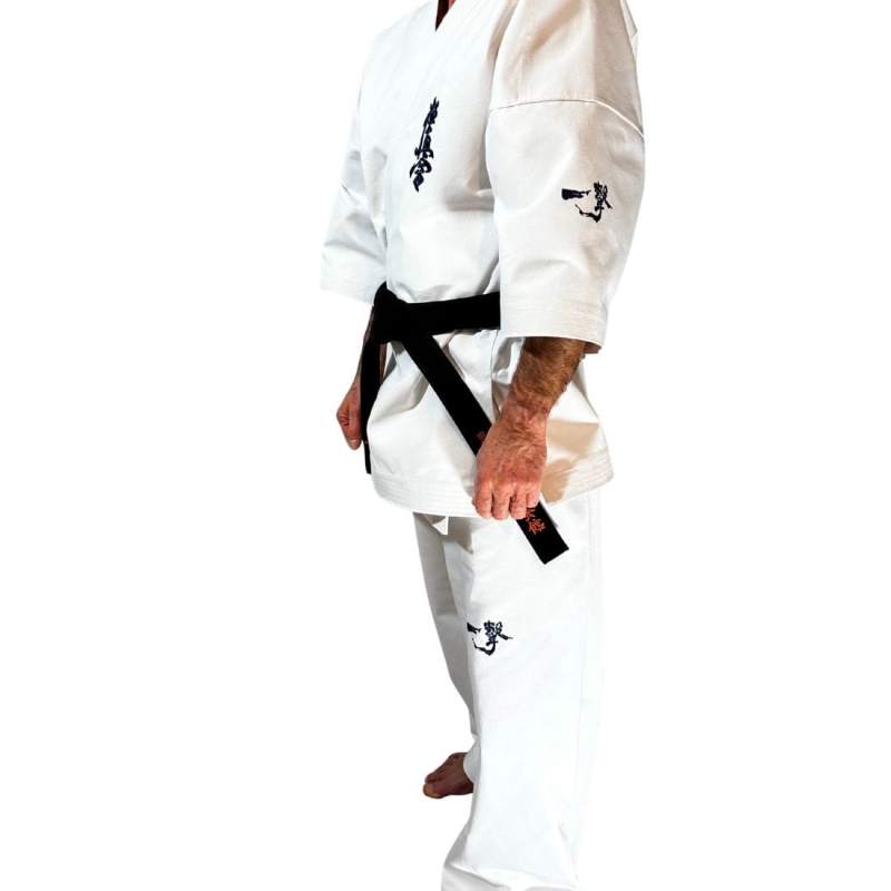 Ichigeki2 (1100 x 1100 px).jpg