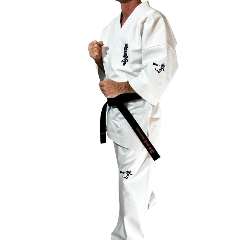 Ichigeki3(1100 x 1100 px).jpg