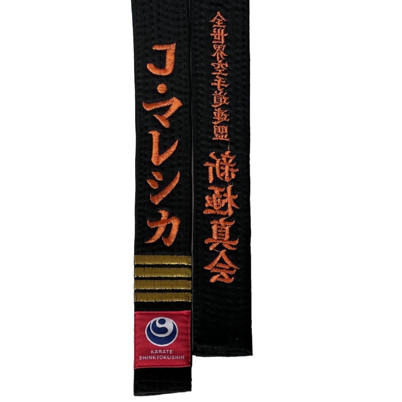 Obi Shin.jpg