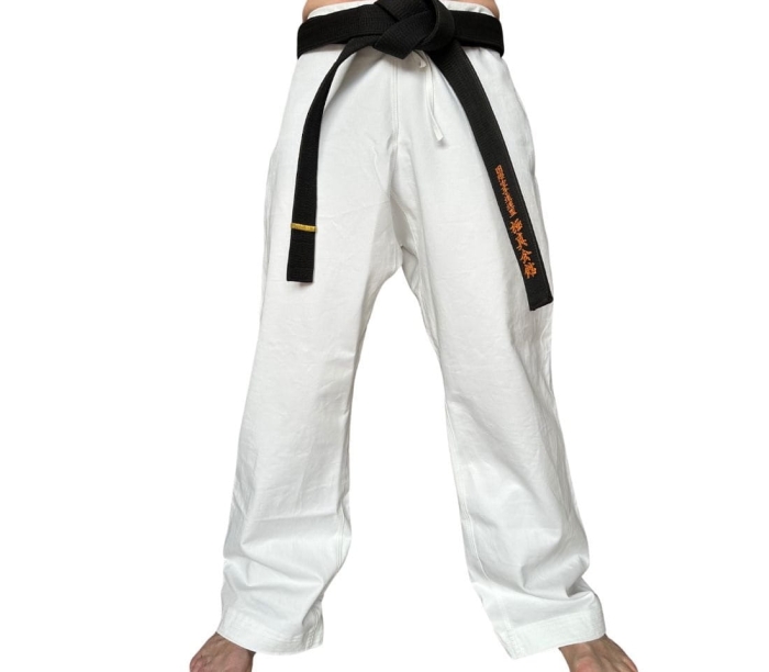 Spodnie 10 oz2(1100 x 1100 px).jpg