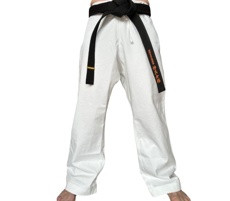 Spodnie 10 oz2(1100 x 1100 px).jpg